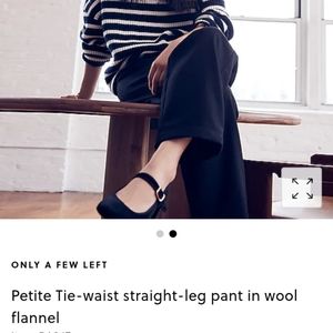 NWT J.Crew petite drawstring wool pants